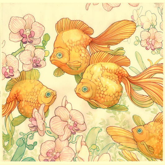 Ryukin Dreams, Orchid